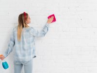 Combatí la humedad de tus paredes con esta increíble idea casera: muy fácil de aplicar 