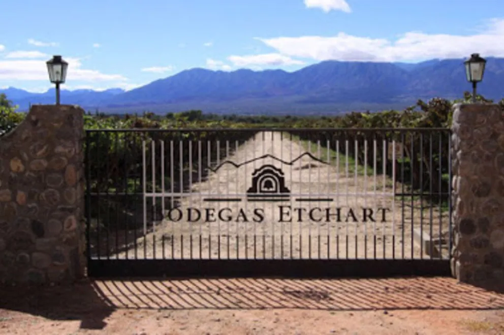 Otro revés judicial para la empresa Pernod Ricard: deberá restituir las tierras tomadas a la Municipalidad de Cafayate 