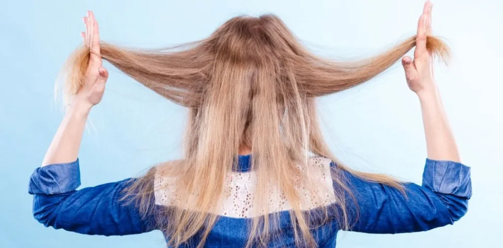 Tónico natural para el pelo: creá esta alternativa casera con una semilla de palta