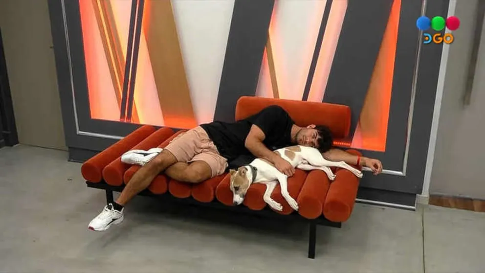 Gran Hermano decidió retirar a Arturo de la casa: estos son los alarmantes motivos