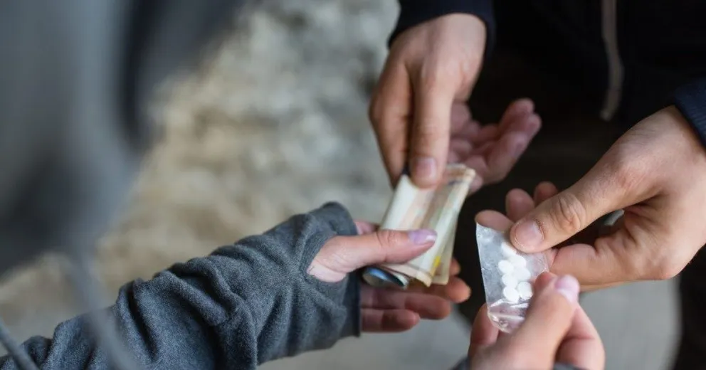 Golpe al narcotráfico: la policía desbarató varios bunkers y seis mujeres fueron apresadas 