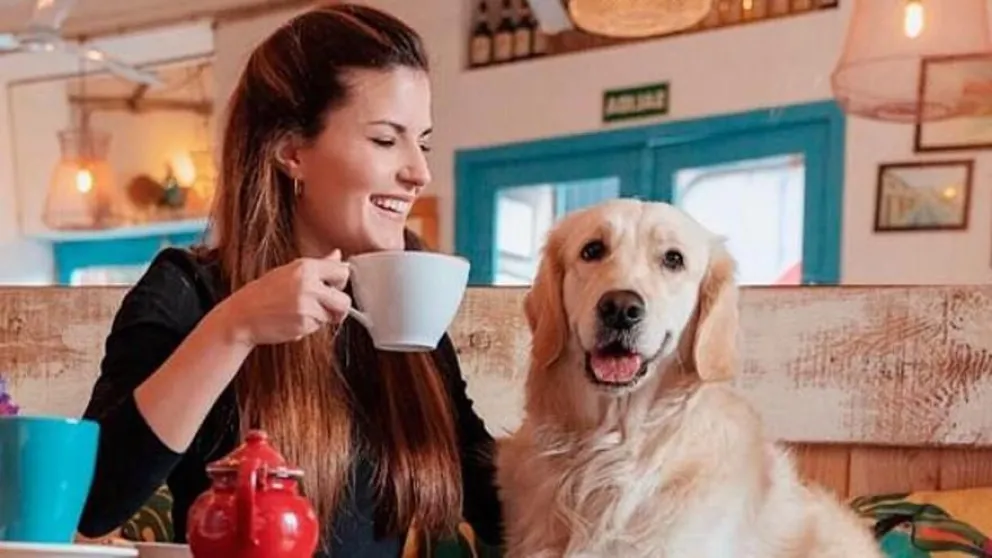 La Municipalidad de Salta avanza con el registro de los establecimientos Pet Friendly