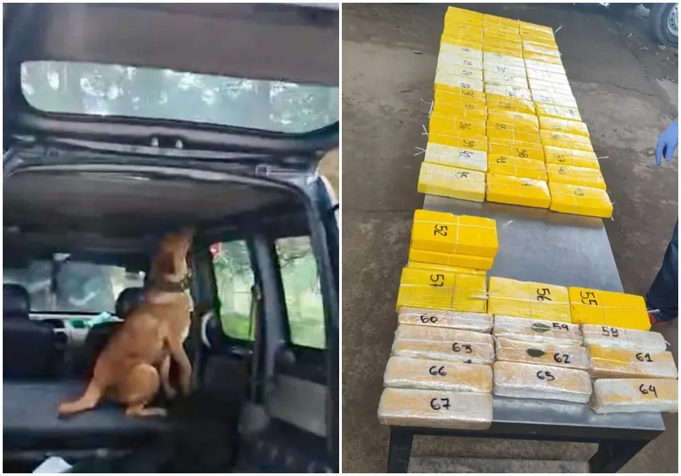 En la Ruta Nacional 34: dos personas trasladaban 64 kilos de droga en el techo del auto