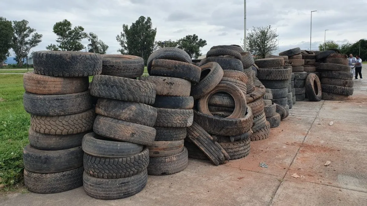 Neumat&oacute;n Municipalidad de Salta 