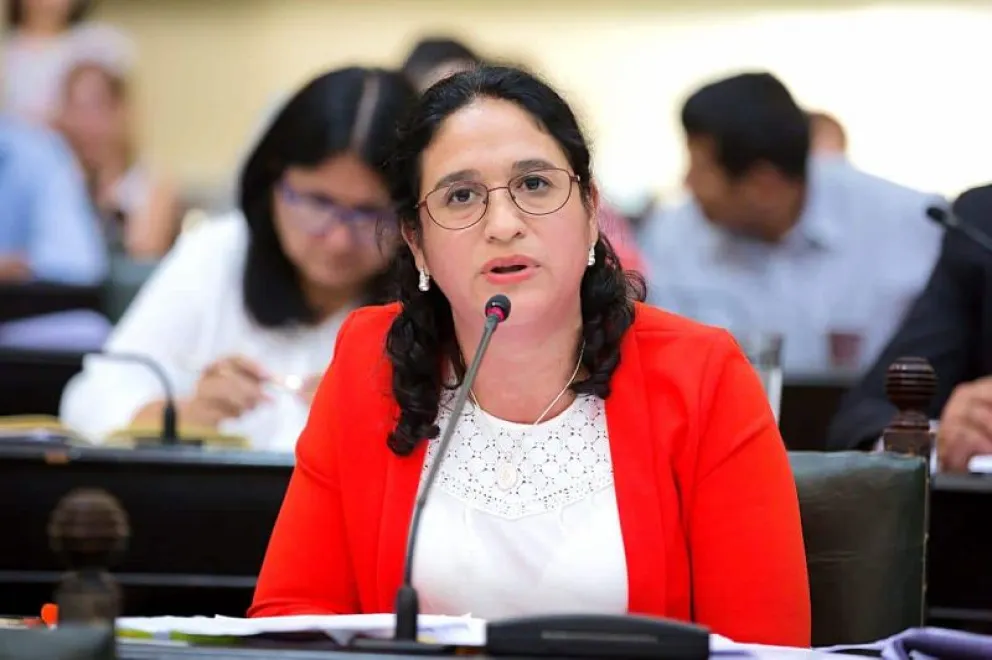 patricia hucena diputados salte&ntilde;os transporte