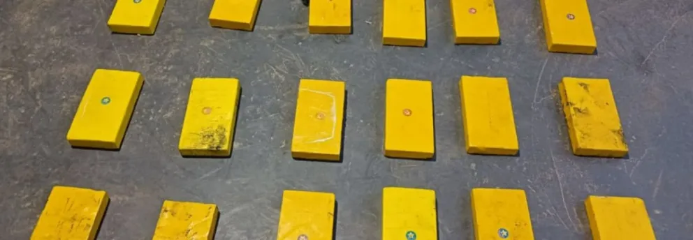 Narcotráfico en Orán: gracias al can antinarcóticos, se encontraron 24 paquetes de cocaína en un automóvil 