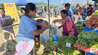 La Municipalidad de Salta invita a una nueva edición de “El mercado en tu barrio”: cuándo y dónde será 