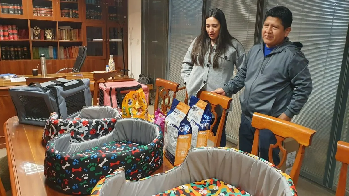 mercado en tu barrio municipalidad de salta 