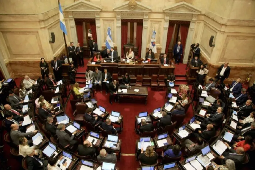 senado ley bases gobierno nacional 