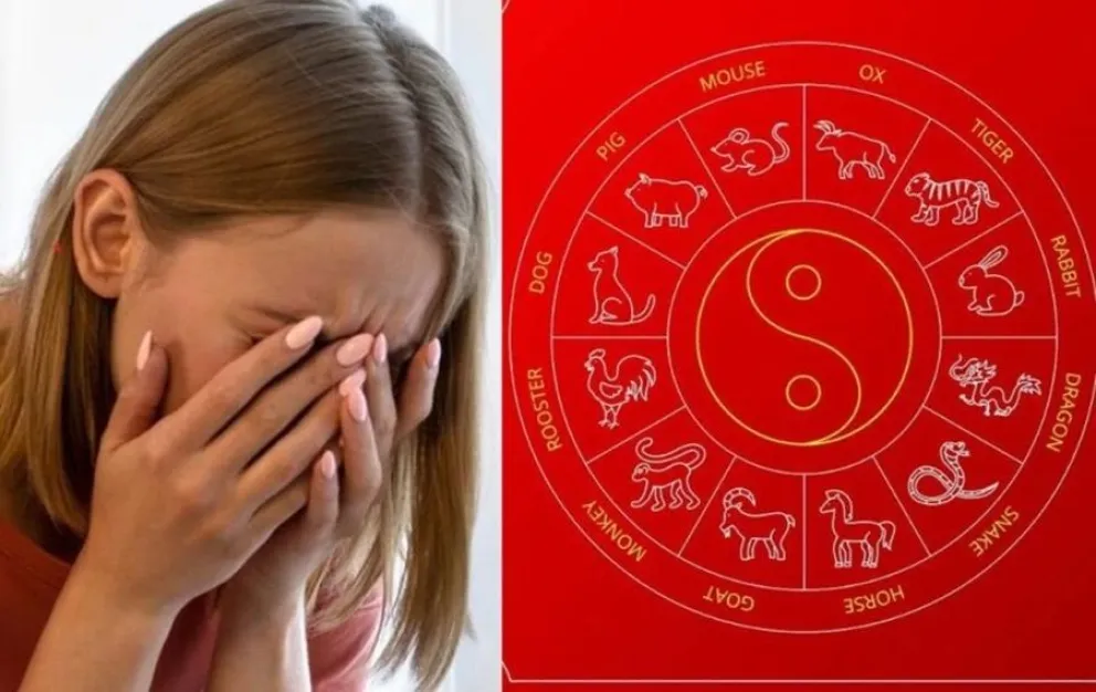 hor&oacute;scopo chino-signo