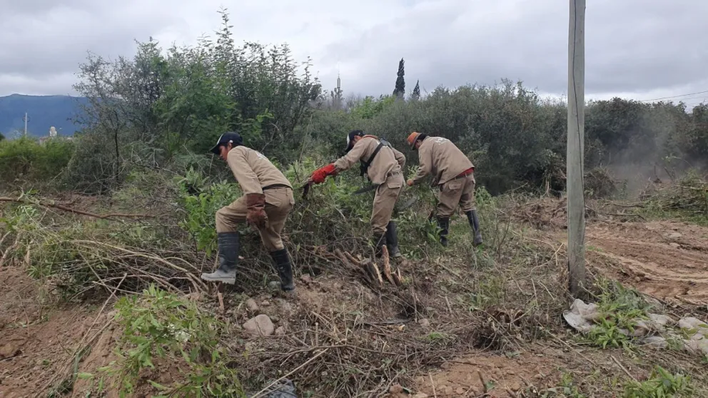Operativo de limpieza en un baldío del barrio Círculo 3: era utilizado como escondite por delincuentes 