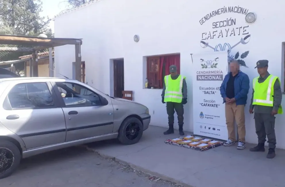 Sello narco: encontraron cocaína con la marca de un "delfín" dentro de un auto
