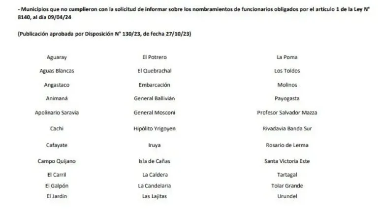declaracion jurada funcionarios y concejales bolet&iacute;n salta