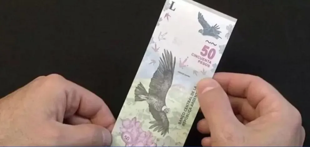 Billetes con “errores”: cuáles son los ejemplares que pueden hacerte ganar más de 2 millones de pesos 