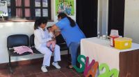 La campaña de vacunación contra la gripe ya alcanzó a más del 45% de la población objetivo en Salta