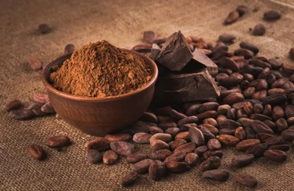 chocolate amargo-beneficios