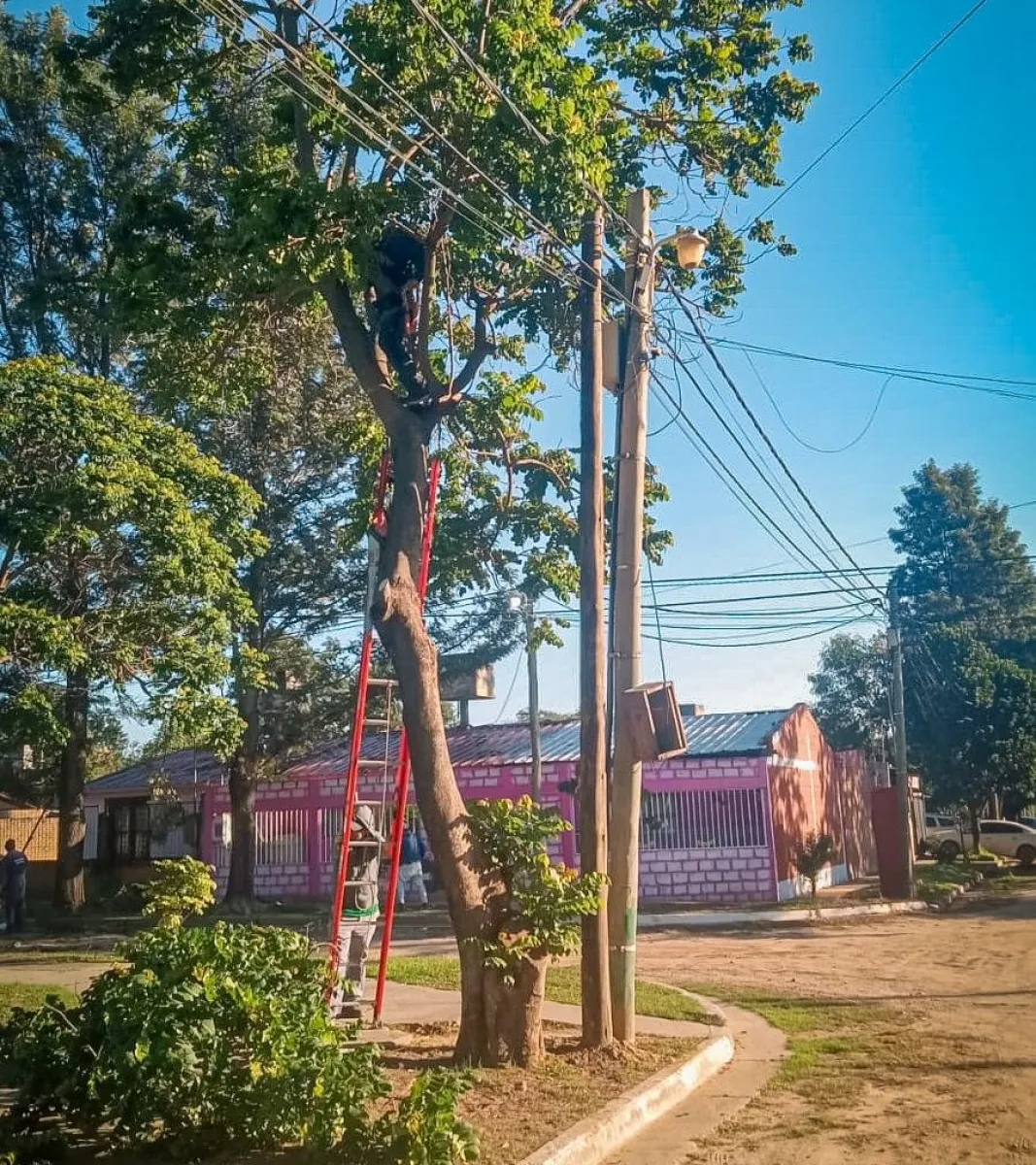 municipalidad de tartagal operativo servicios p&uacute;blicos 