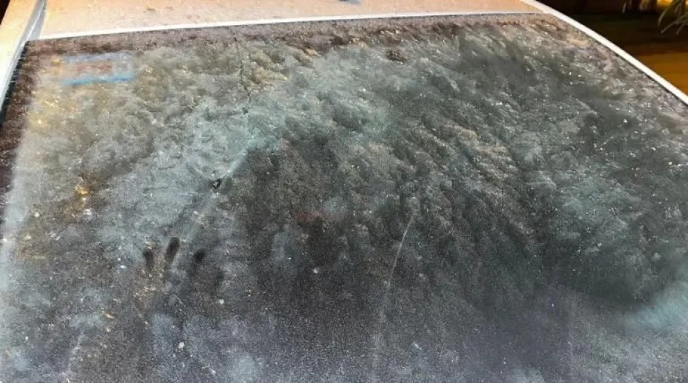 ola polar fr&iacute;o helada