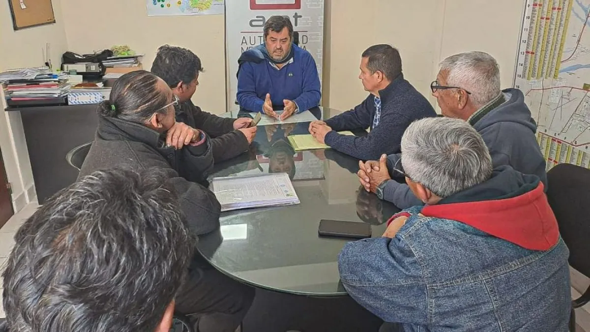taxis y remises amt reuni&oacute;n 