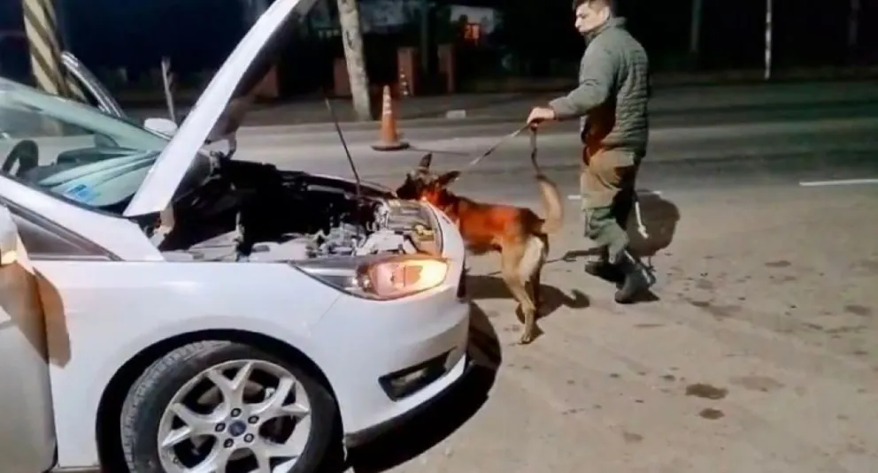 Narcotráfico en Salta: trasladaban droga en el techo de su auto 