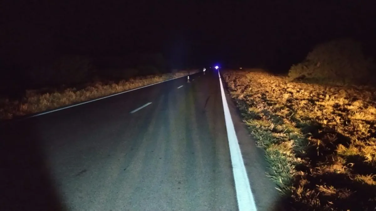Ruta 16
