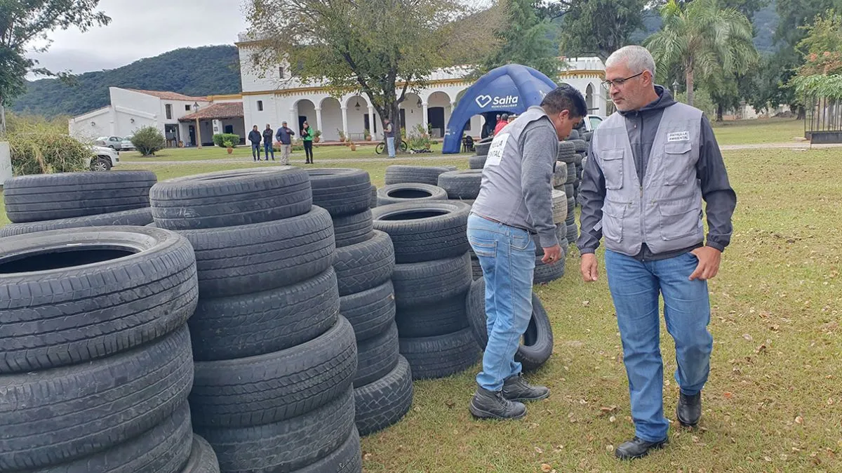 Neumatón