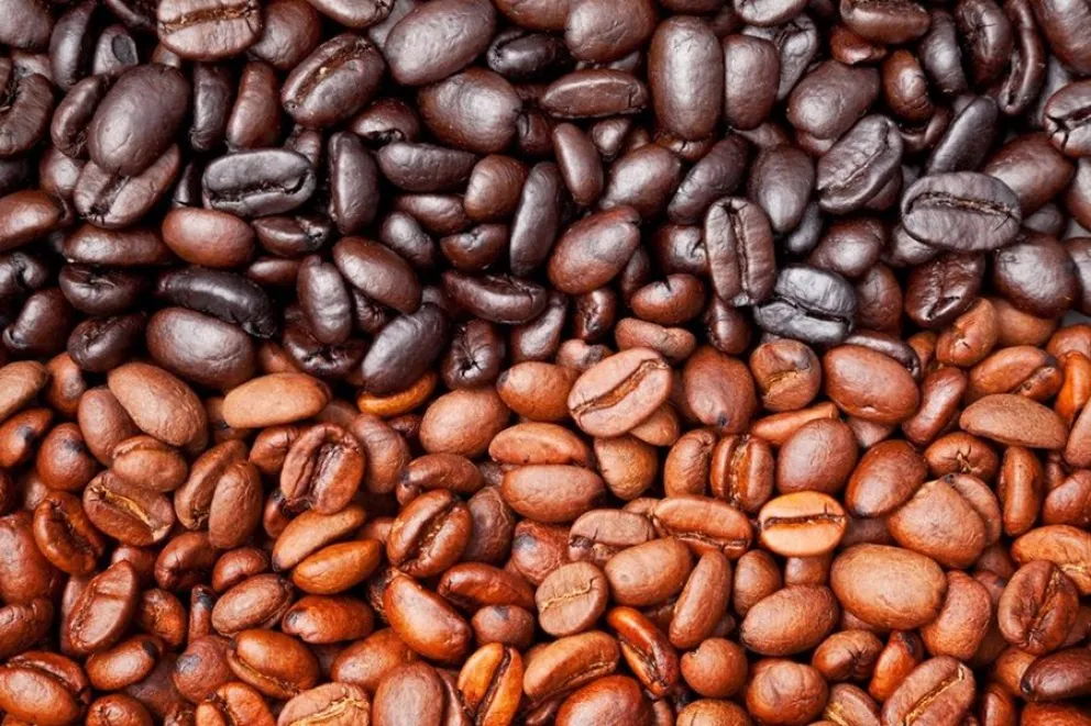 caf&eacute; torrado