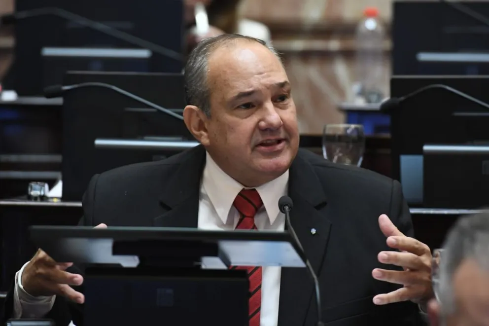 Ley Bases: el senador salteño Sergio Leavy anticipó su rechazo y evocó las políticas de los 90