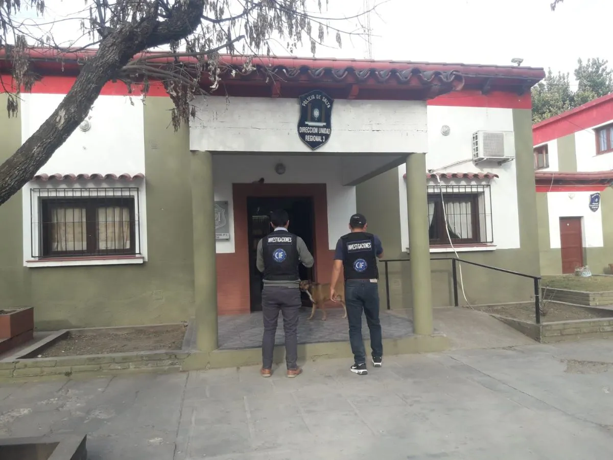 Comienza la b&uacute;squeda de salte&ntilde;a