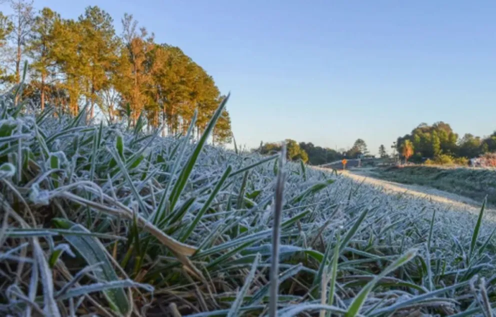 Con el inicio del invierno, llega la ola polar a Salta
