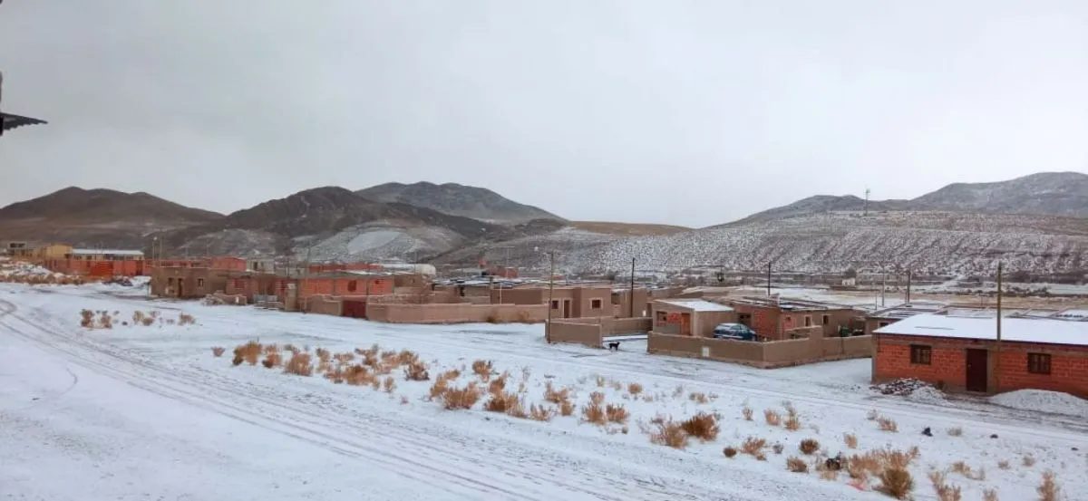 Nieve en Salta