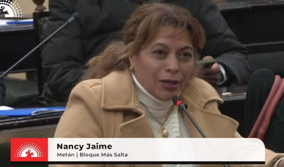 Diputada Nancy Jaime