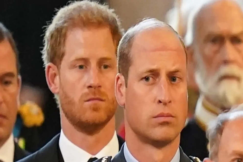 Esto es lo que el príncipe Harry perdió y que el príncipe Guillermo disfruta