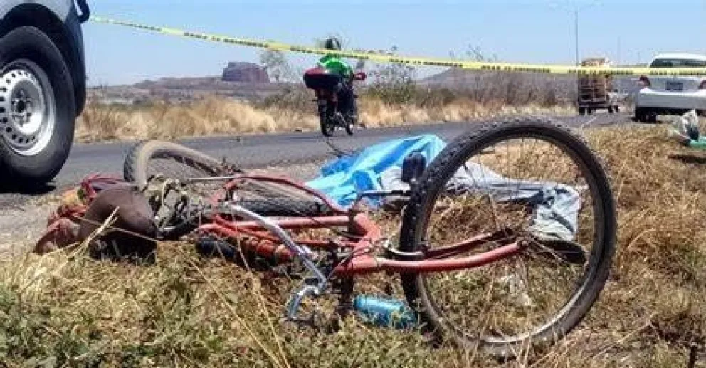 Ciclista