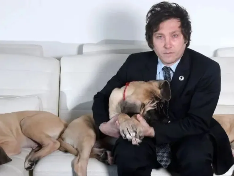 Con el aval de Javier Milei, avanza en el Congreso la ley Conan en contra el maltrato animal