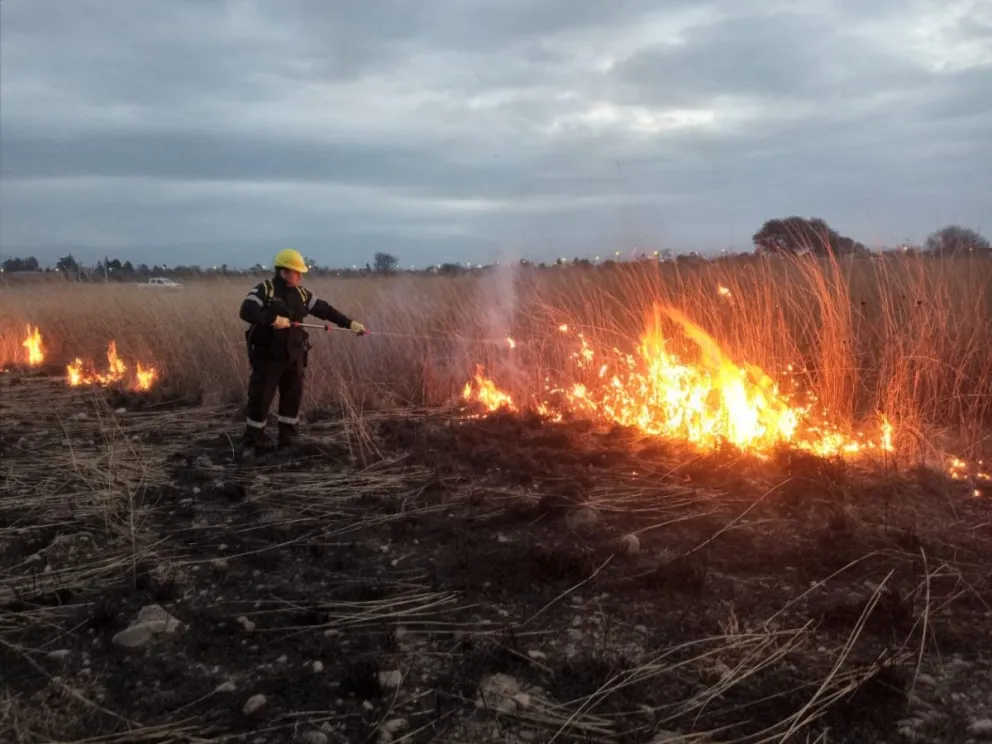Incendio Forestal