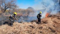 Incendios forestales en Salta: 40 hectáreas afectadas por la quema de pastizales