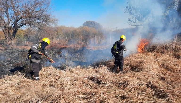 Incendios forestales en Salta: 40 hectáreas afectadas por la quema de ...