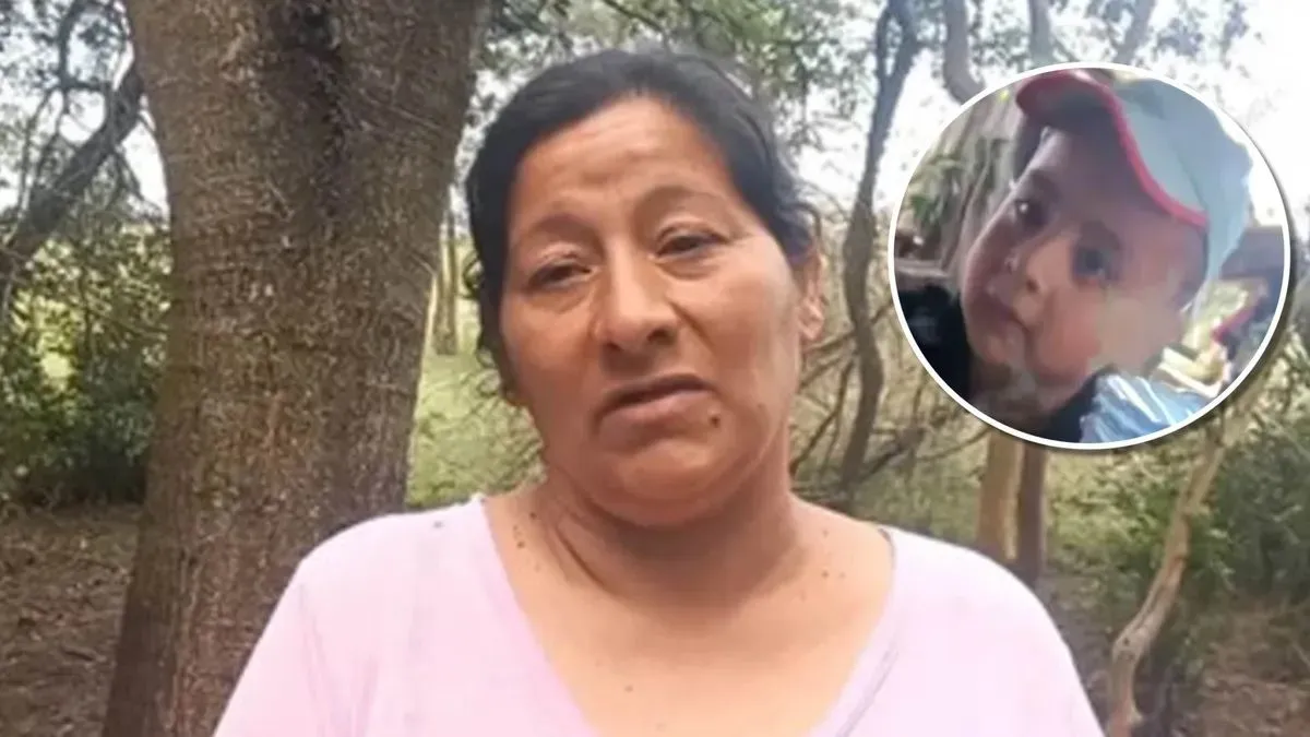 Laudelina Peña desaparición de Loan