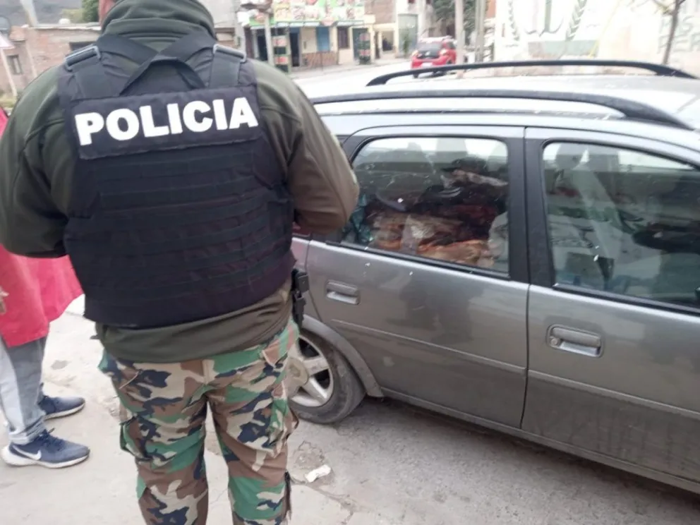 Alerta sanitaria: decomisaron 100 kg de carne no apta para el consumo en avenida Italia