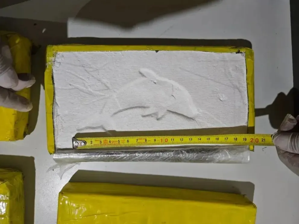 Cocaína 
