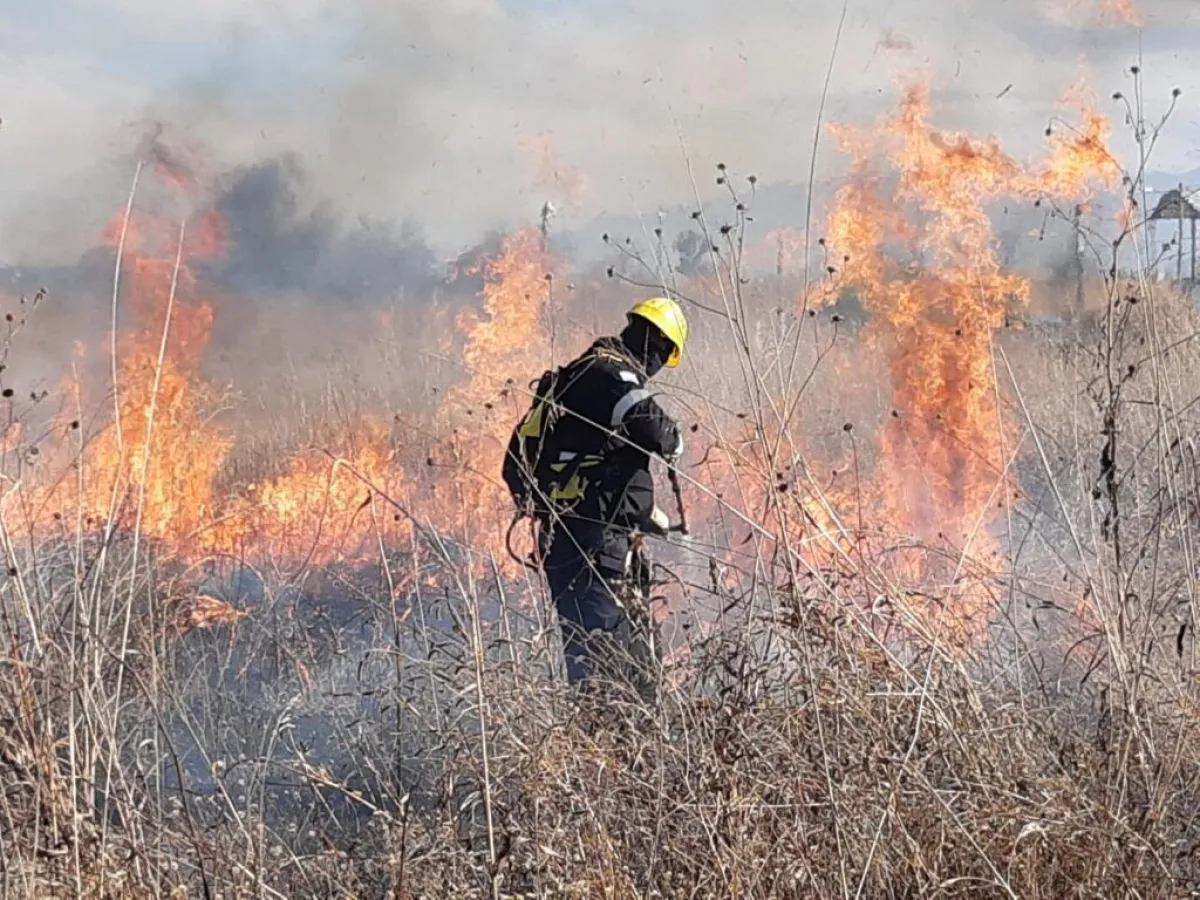 Control del fuego