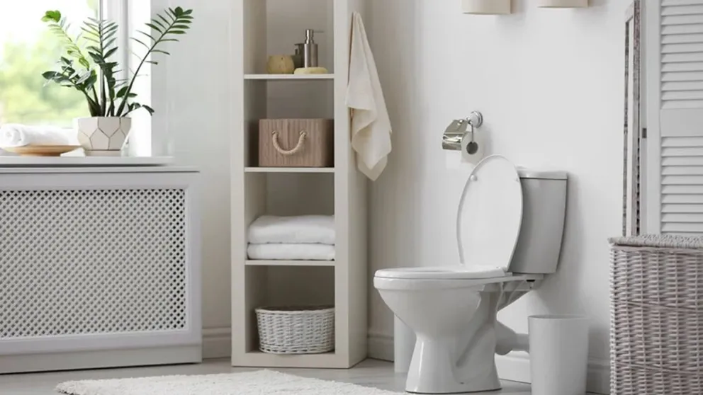 ¡Adiós al sarro!: este es el limpiador casero que necesitás para dejar tu baño reluciente