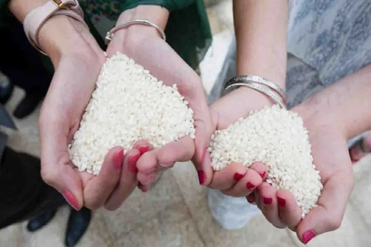 RITUAL ARROZ