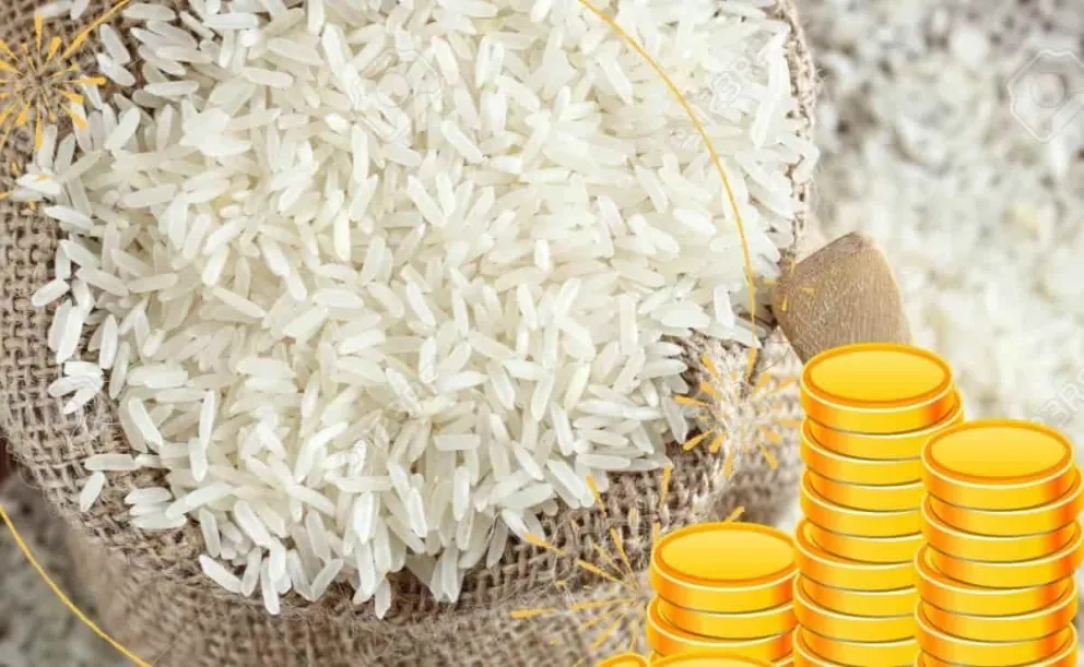 De acuerdo al Feng Shui, este es el lugar exacto donde debes colocar el arroz para atraer el dinero