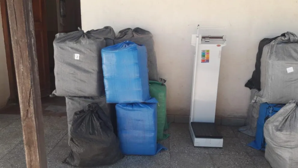Golpe al narcotráfico: incautan más de 600 kilos de hojas de coca en La Poma