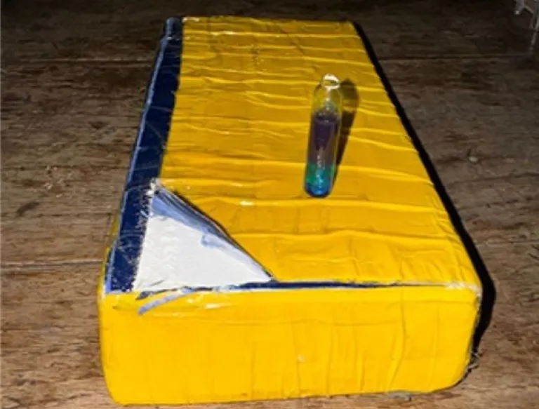Cocaina