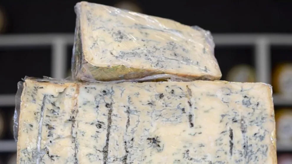 Este es el queso más peligroso del mundo: está prohibido en toda la Unión Europea