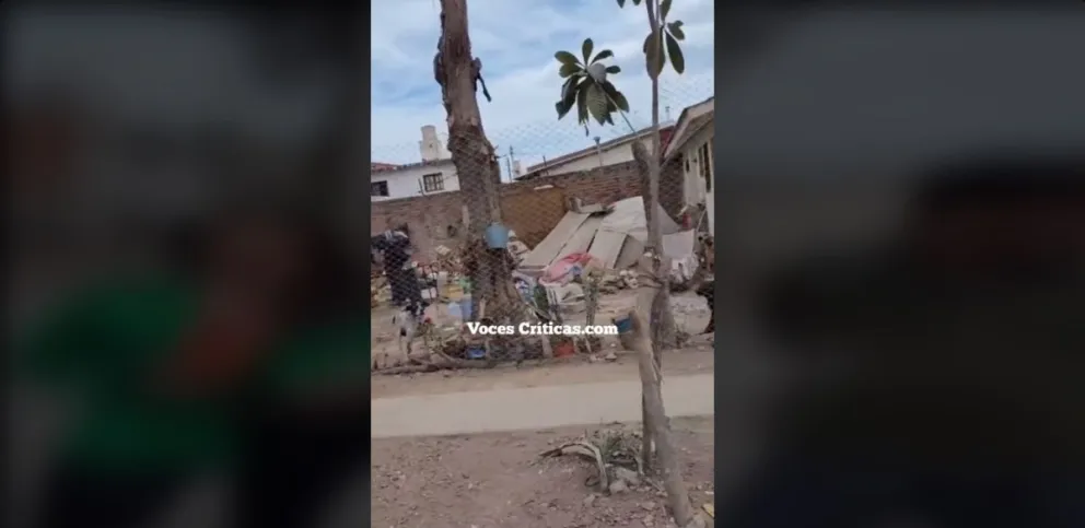 Acumuladores de basura en Barrio Limache: nuevamente la familia con el síndrome de Diógenes está en la mira