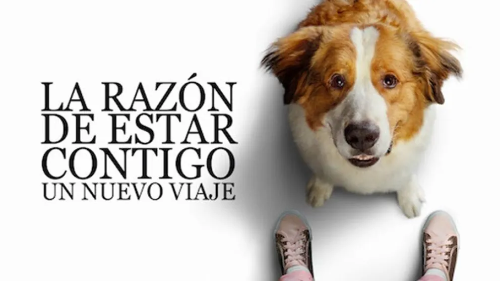 Netflix-pel&iacute;cula